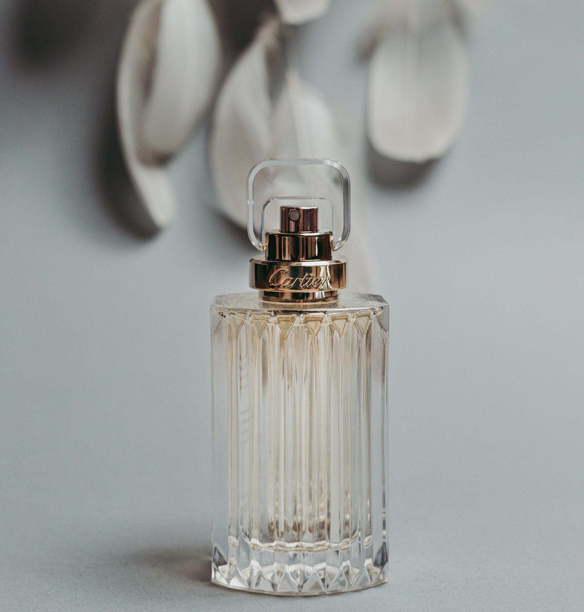 What is the Difference Between a Perfume and a Fragrance?